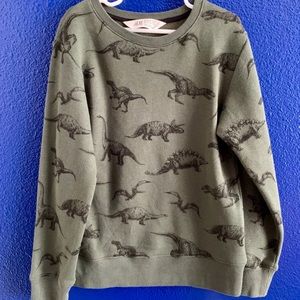H&M Dinosaur Sweatshirt